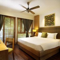 Rainforest chalet2